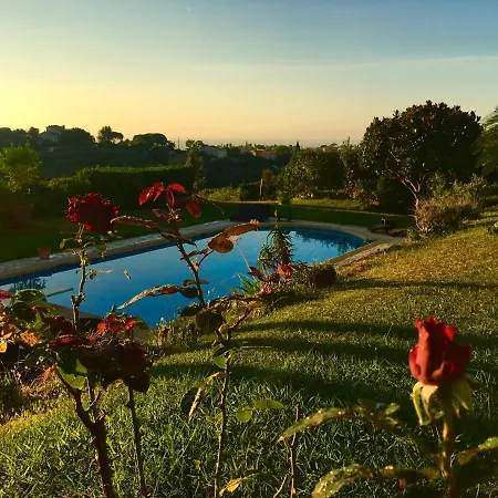 Antoline Bed & Breakfast